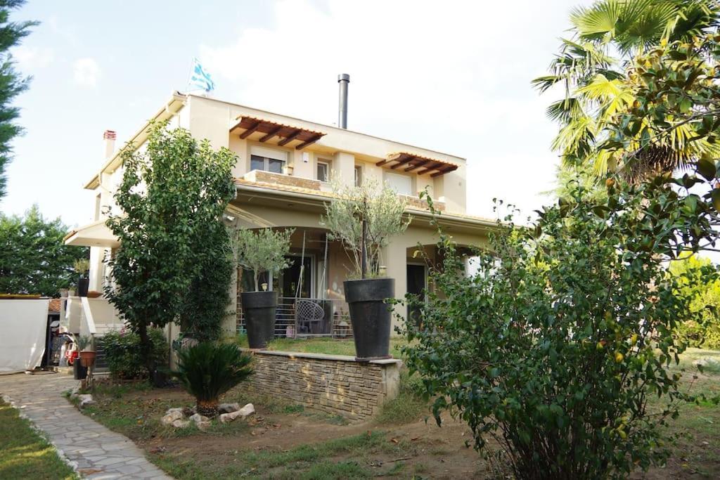 Villa Vasili Trikala  Luaran gambar